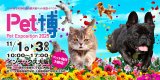 【お知らせ】ペット博出展と出荷スケジュールについて