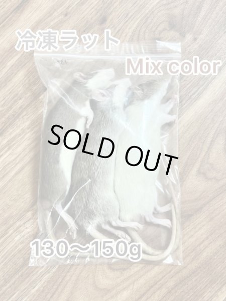 画像1: 【特価50％OFF】冷凍ラット130~150g (1)