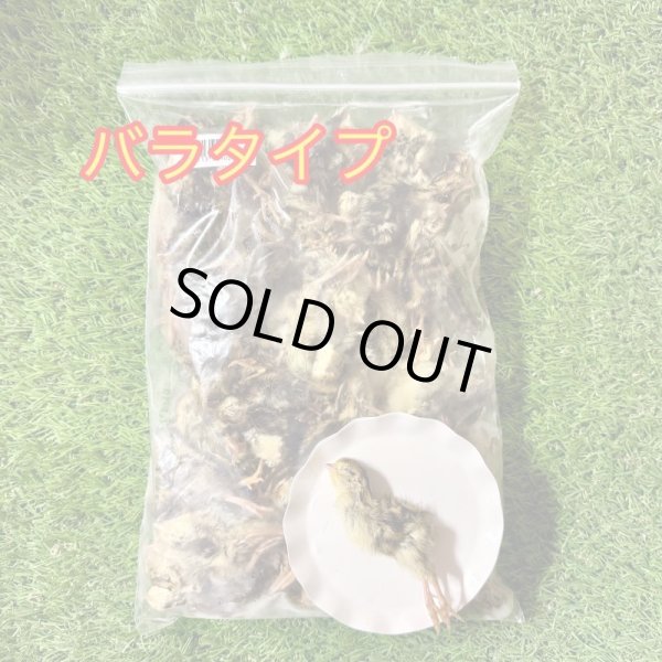 画像1: 冷凍ヒナウズラ★500ｇ入り（約70〜75羽）バラタイプ (1)
