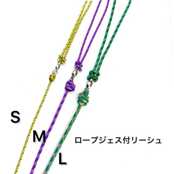 画像1: ロープジェス/ リーシュ一体型　繋留用脚紐 Mサイズ (1)