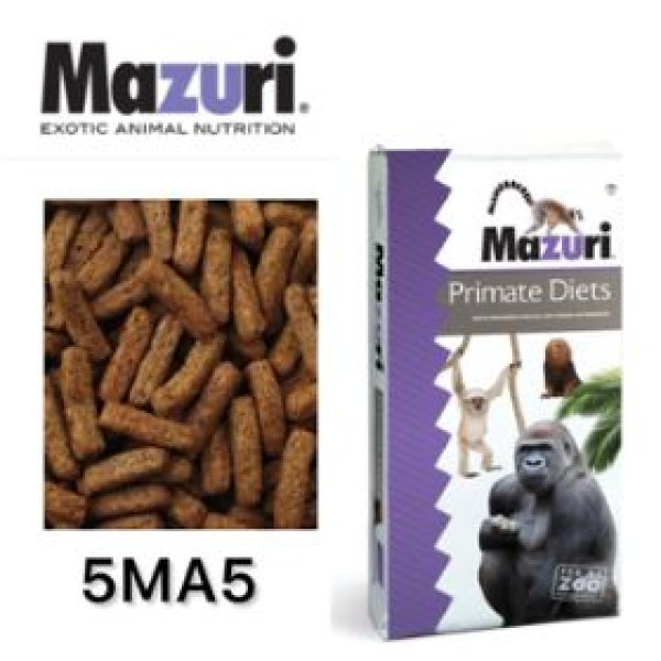 画像1: Mazuri ニューワールド プライメイト ビスケット （小型サル用）5MA5 (1)