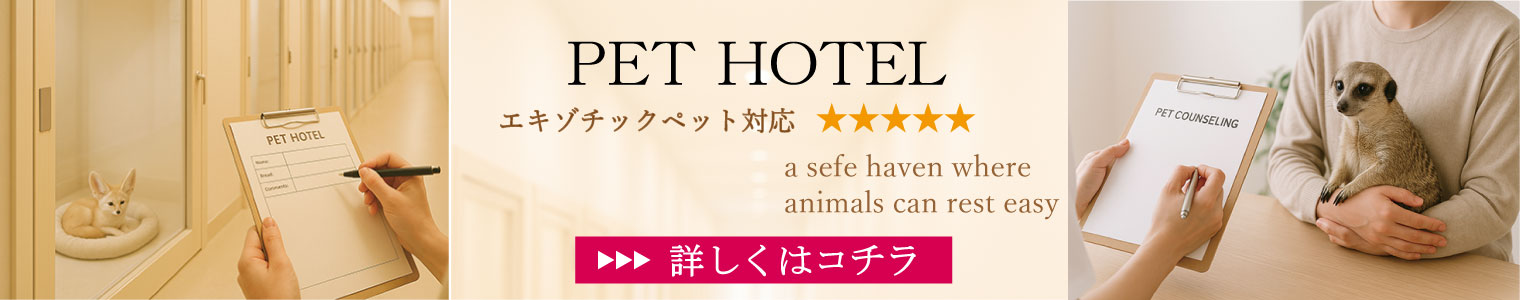 pethotel