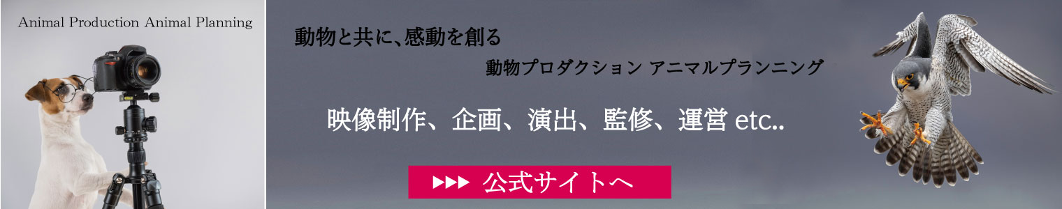 アニマルプランニング