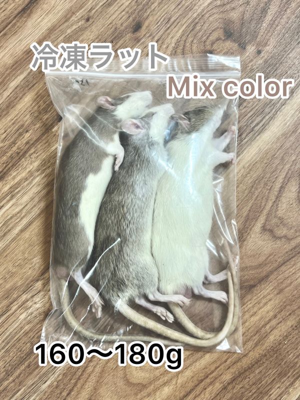 【特価50％OFF】冷凍ラット160-180g