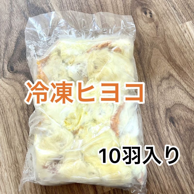冷凍ヒヨコ　10羽入り袋